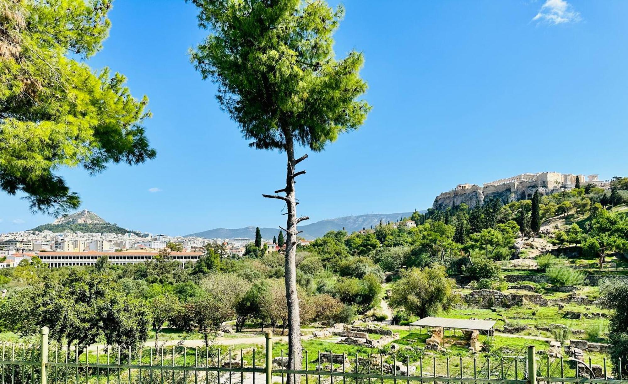 Yuna Penthouse, 100Sqm Private Rooftop Terrasse, Acropolis By Foot アテネ エクステリア 写真